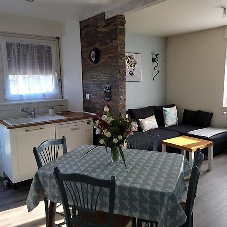 Appartement Au Cigogneau Wifi-Netflix-Balcon-Parking Munster  Eksteriør bilde
