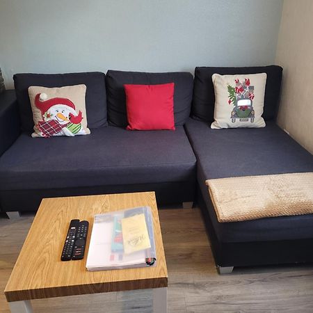 Appartement Au Cigogneau Wifi-Netflix-Balcon-Parking Munster  Eksteriør bilde