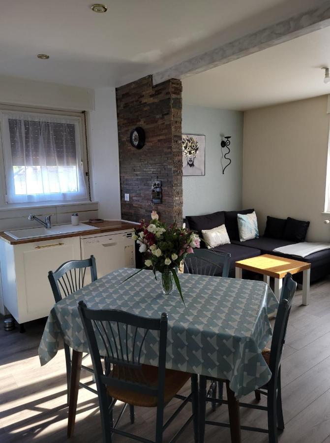Appartement Au Cigogneau Wifi-Netflix-Balcon-Parking Munster  Eksteriør bilde