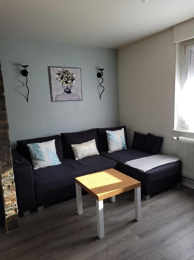 Appartement Au Cigogneau Wifi-Netflix-Balcon-Parking Munster  Eksteriør bilde