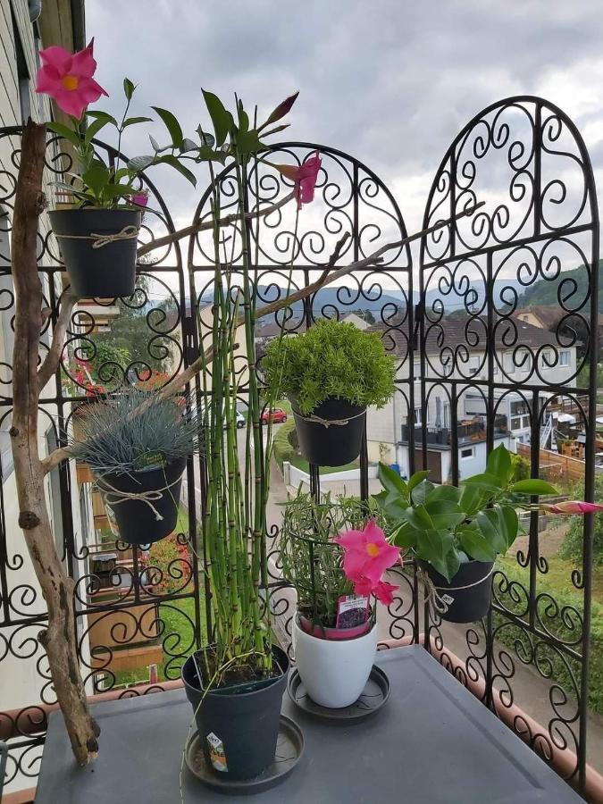 Appartement Au Cigogneau Wifi-Netflix-Balcon-Parking Munster  Eksteriør bilde