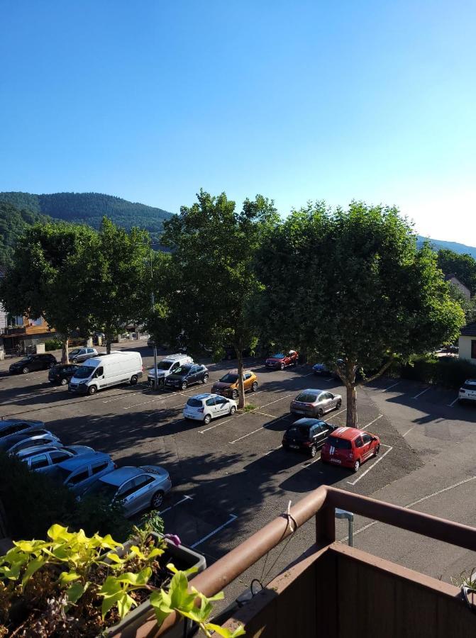 Appartement Au Cigogneau Wifi-Netflix-Balcon-Parking Munster  Eksteriør bilde